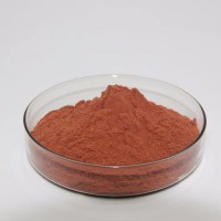 Factory Supply  Best Price Red Grape Seed Extract Polyphenols Powder