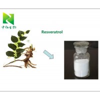 High Purity Resveratrol 98% CAS 501-36-0 Resveratrol Powder