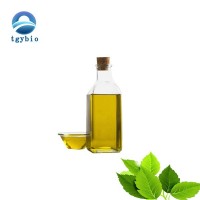 Supply Herb Extract Oil Moringa Seed Extract Oil/moringa oil extract