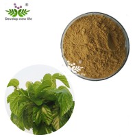 High Quality Mulberry leaf Extract 1-Deoxynojirimycin(DNJ)