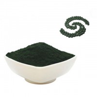 chlorella pyrenoidosa/taiwan chlorella/organic chlorella powder