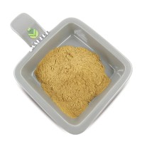 Galla Chinensis Extract Tannic acid extract powder