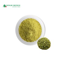 High quality Quercetin Extract quercetin 95%