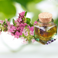 Thyme Oil / Thymus Vulgaris Oil bulk price