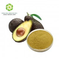 Factory Supply Pure Avocado Extract Powder