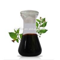 Top quality Belladonna liquid extract