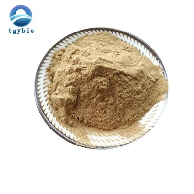 Lychee Seed and Peel Extract Powder/ Litchi Fruit Juice Powder