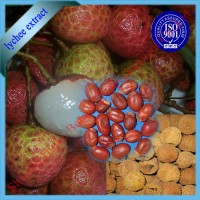 Litchi chinensis Sonn & Lychee seed extract powder