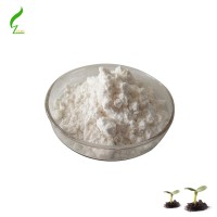 High quality Ethyl ascorbic acid in stock with best price!