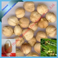 natural White nutmeg extract powder