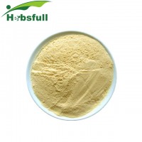 Top Quality Wholesale Price Fresh Avocado Seed Extract Powder