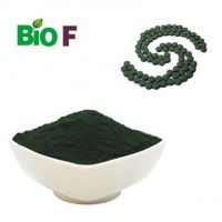 Natural and Pure Chlorella Powder Protein 60%