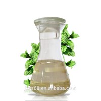 Top quality Pure Spearmint Essential Oil