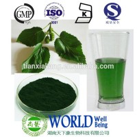 nature green color from Mulberry leaves 98% Chlorophyll powder nature green pigment Chlorophyll powder