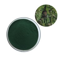 supply chlorella and spirulina powder~60%-65% protein,100% natural food grade Chlorella powder supplier