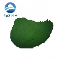 Nature organic chlorella spirulina Chlorella powder Chlorella