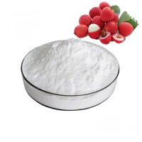 Factory supply 100% Pure Organic Litchi Fruit Powder Freeze Dried Litchi powder