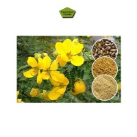 Direct Factory Supply Natural Emulsifier Cassia Gum Powder for Bulk Buyers